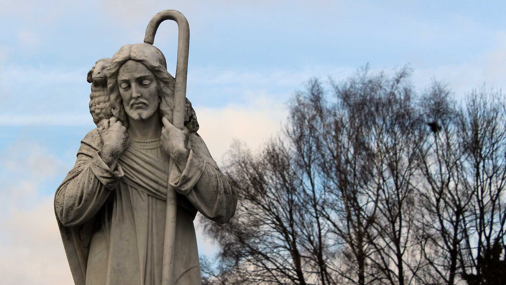 The shepherd’s voice